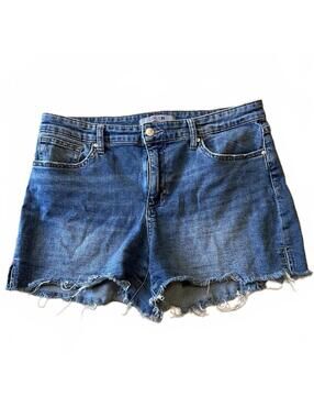 READ Joe's Denim Shorts Size 31